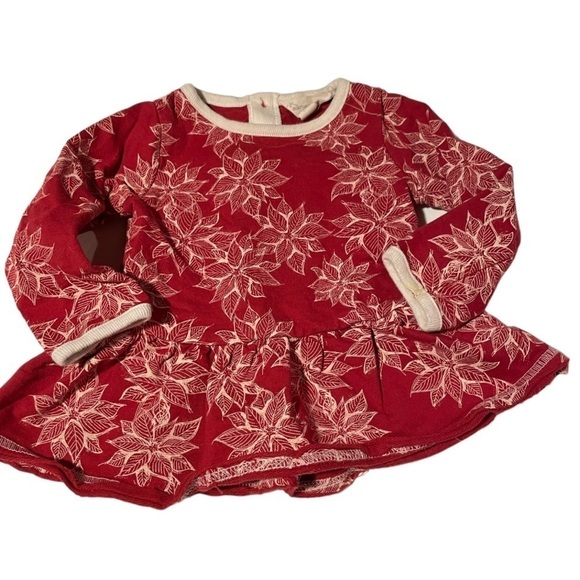 Burt’s Bees Red Poinsettia Dress - Picture 1 of 6